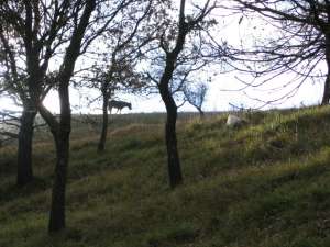 Xtrallusion photo library of independent, self-guided walking and sightseeing holidays in Italy. Pictures, images, photos and photographs taken along the way of this 1-day walking itinerary, to give you a visual impression of the day's walk.